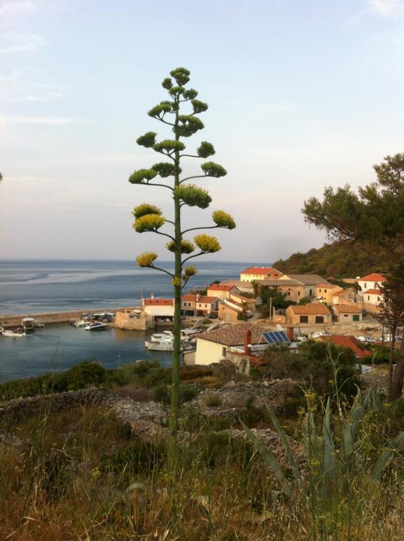 Apartments Katja Mali Losinj Bagian luar foto